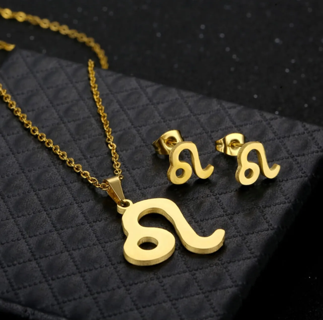 Stainless Steel Zodiac Necklace & Earrings Set