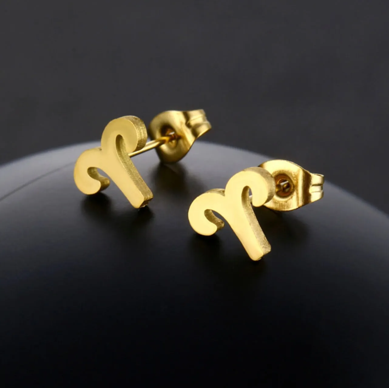 Stainless Steel Zodiac Necklace & Earrings Set
