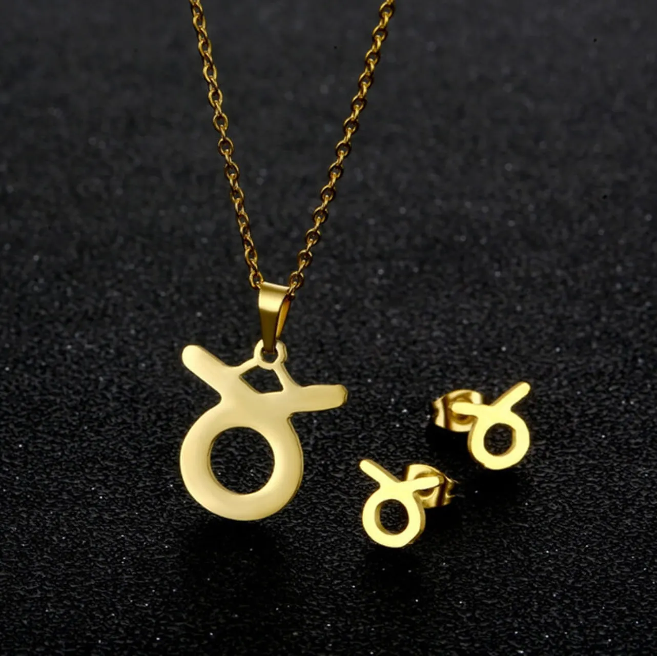 Stainless Steel Zodiac Necklace & Earrings Set
