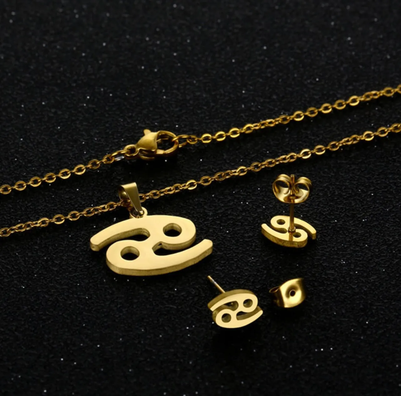 Stainless Steel Zodiac Necklace & Earrings Set