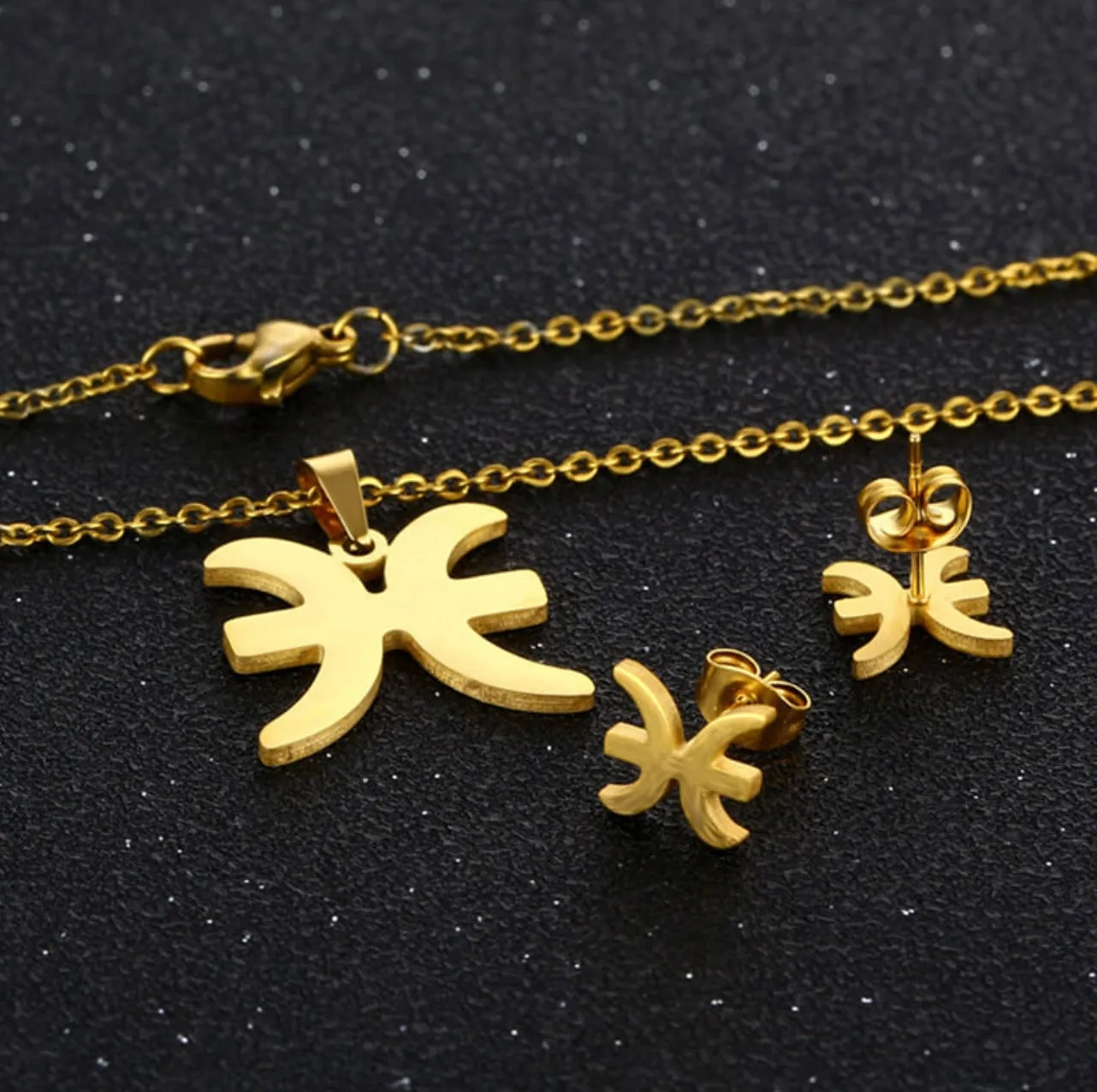 Stainless Steel Zodiac Necklace & Earrings Set