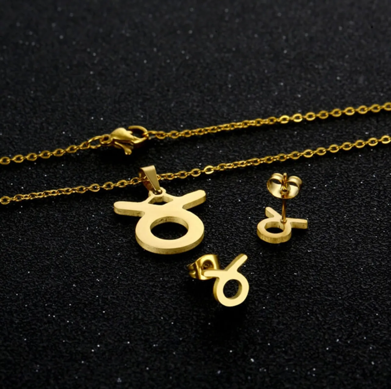 Stainless Steel Zodiac Necklace & Earrings Set