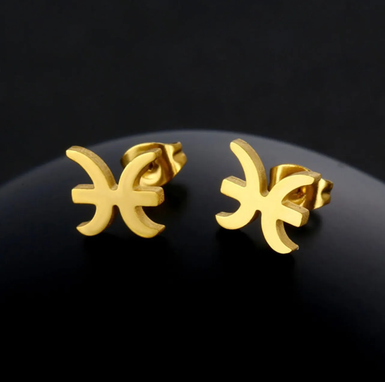 Stainless Steel Zodiac Necklace & Earrings Set