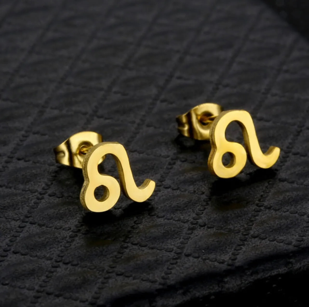 Stainless Steel Zodiac Necklace & Earrings Set