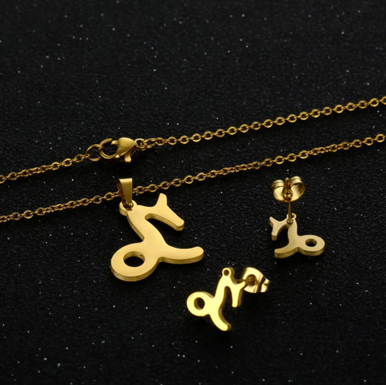 Stainless Steel Zodiac Necklace & Earrings Set