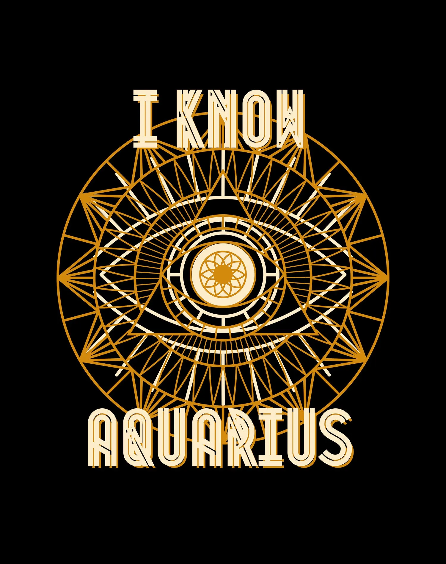 UA Supreme Star Sign Aquarius Men's T-shirt (Black)
