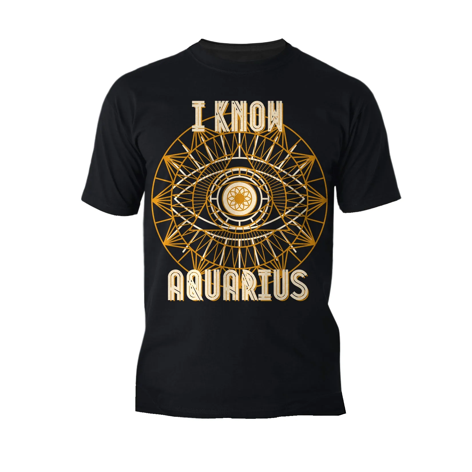 UA Supreme Star Sign Aquarius Men's T-shirt (Black)