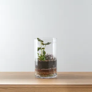 Urban Oasis Terrarium Medium