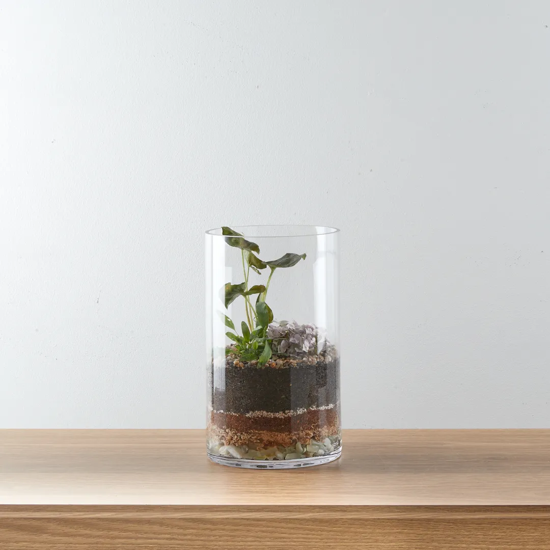 Urban Oasis Terrarium Medium