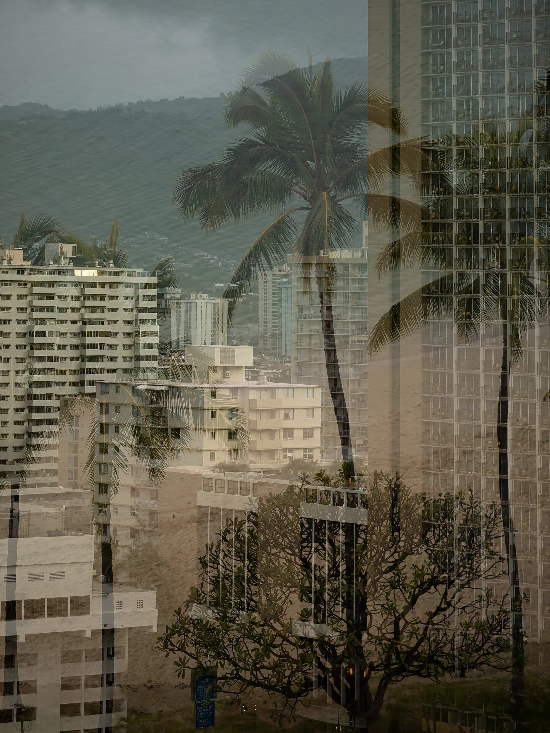 Urban Tropic