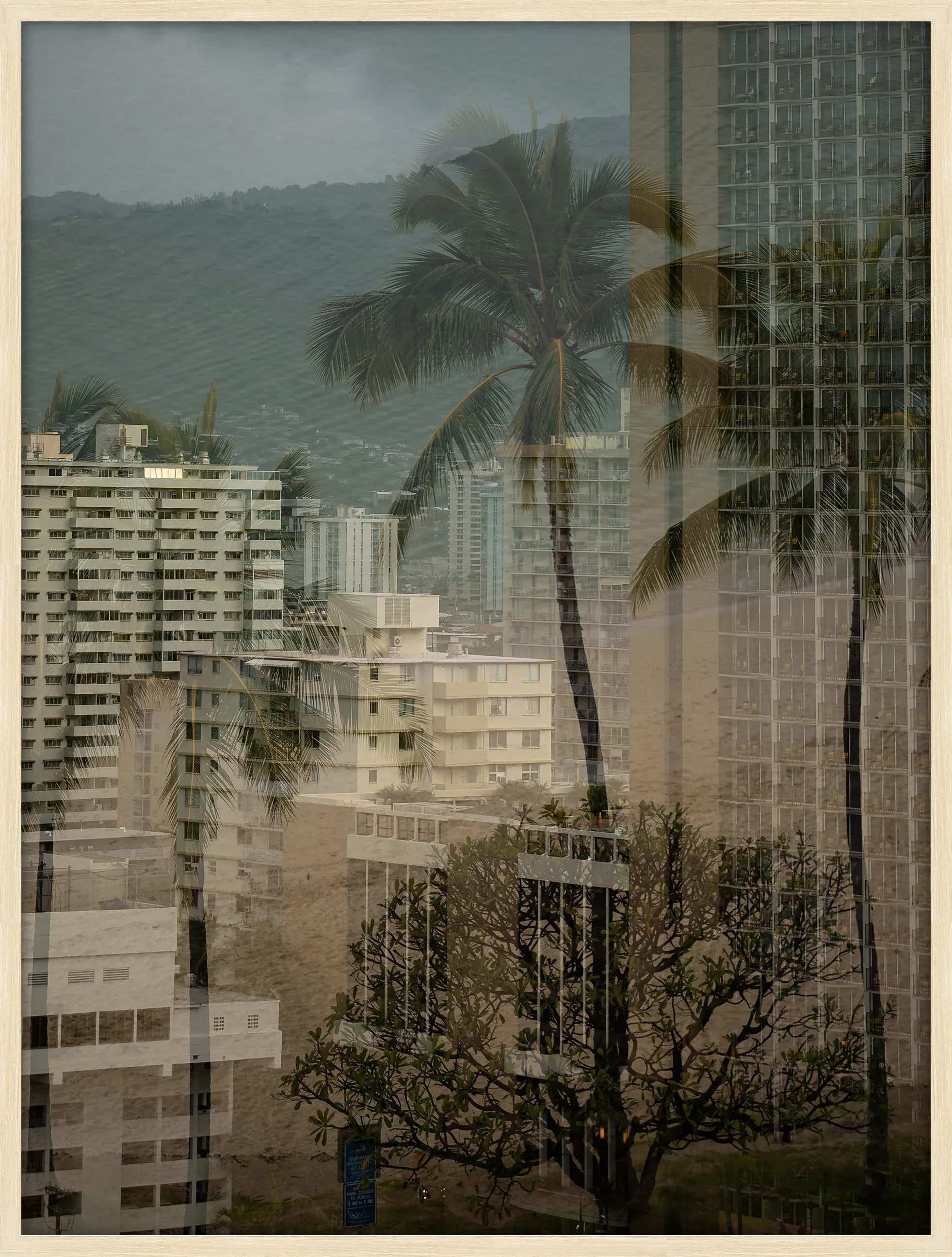 Urban Tropic
