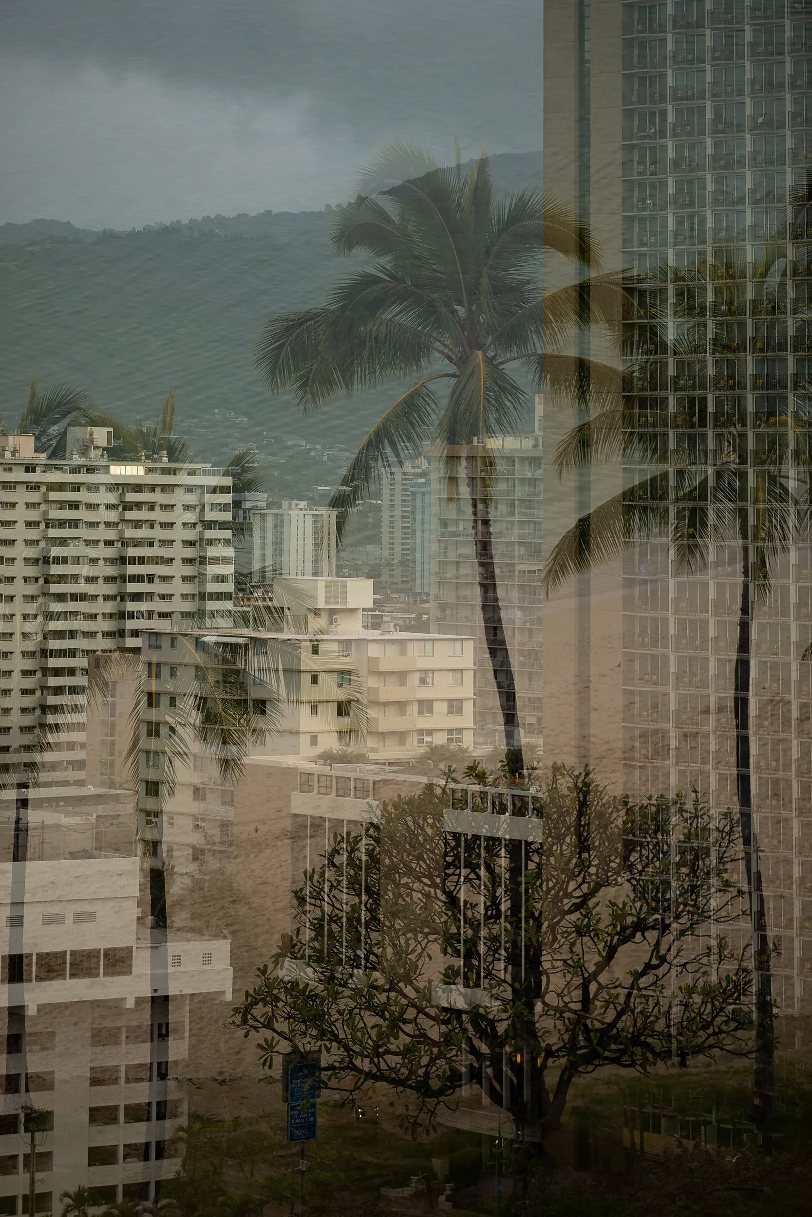 Urban Tropic