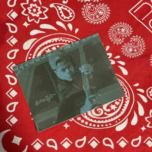 WP “Lloyd Avery II” Sticker