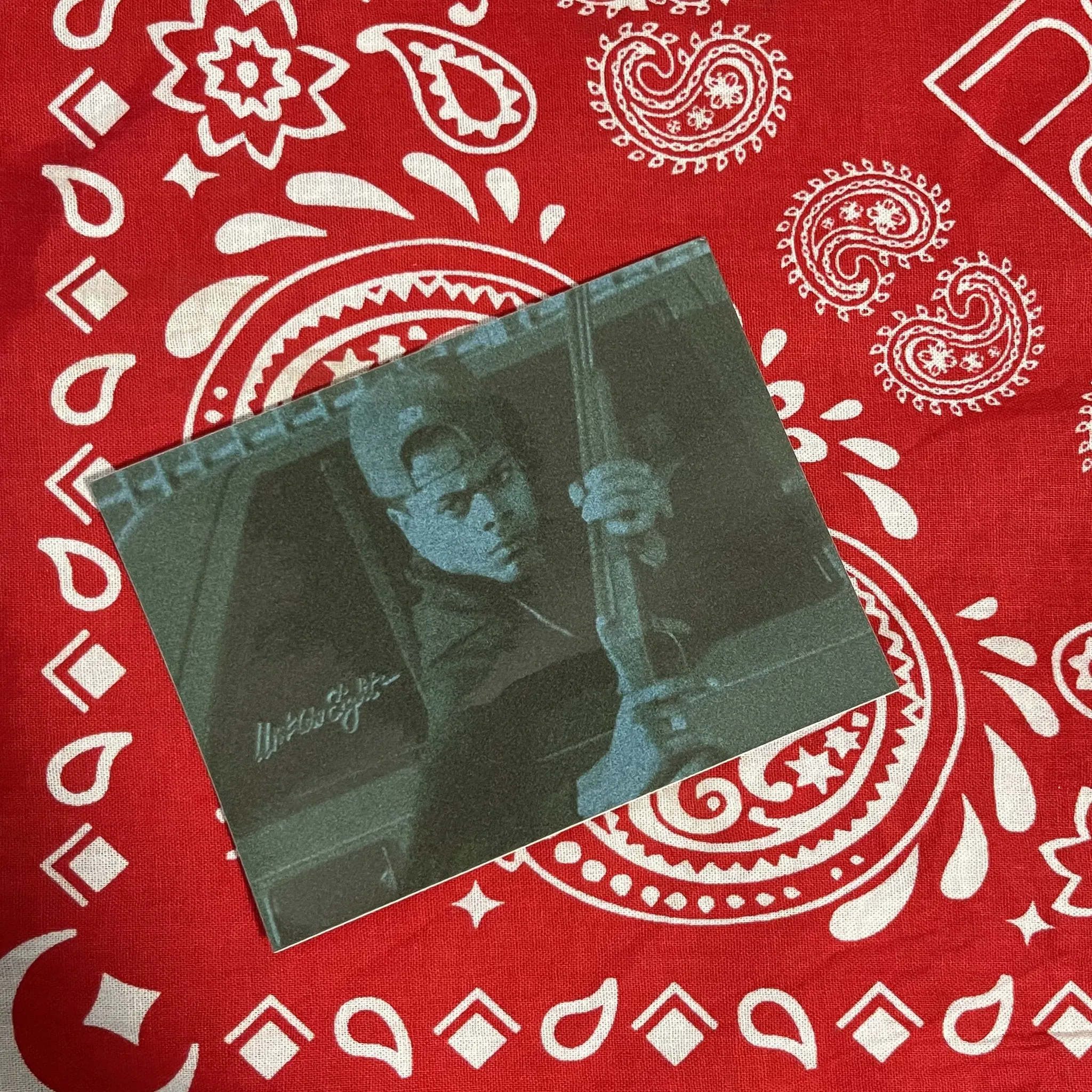 WP “Lloyd Avery II” Sticker